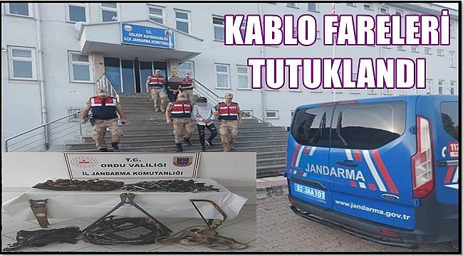 Ordu'da bakır kablo çalan iki şüpheli tutuklandı