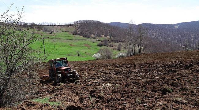 Ordu'da 3 yılda 17 bin 500 dönüm arazi tarıma kazandırıldı