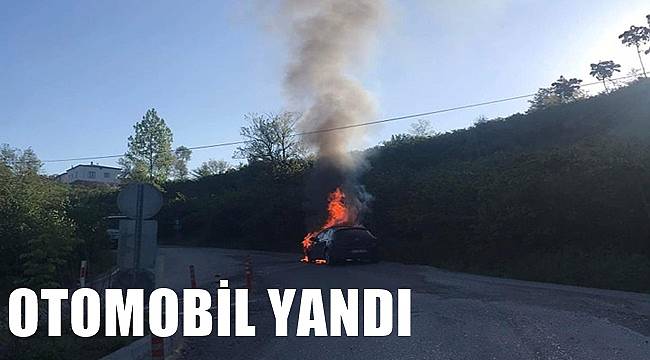Ordu'da alev alan otomobil yandı