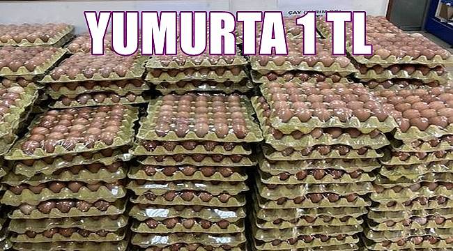 Ordu'da Altınordu Ziraat Odası yumurtanın kolisini 30 TL'ye düşürdü