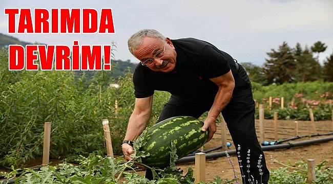 Ordu'da Büyükşehir desteğiyle tarımdan 200 milyon lira girdi sağlandı