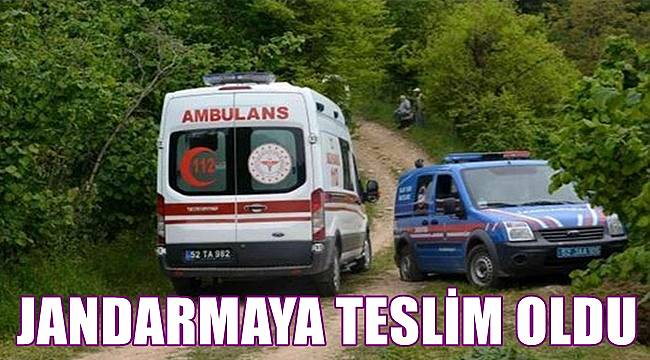 Ordu'da cinayet zanlısı jandarmaya teslim oldu