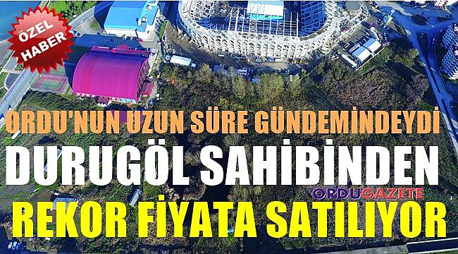 Ordu'da Durugöl rekor fiyata satışa çıkartıldı