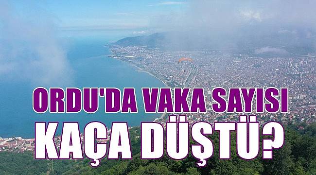 Ordu'da günlük vaka sayısı kaça düştü