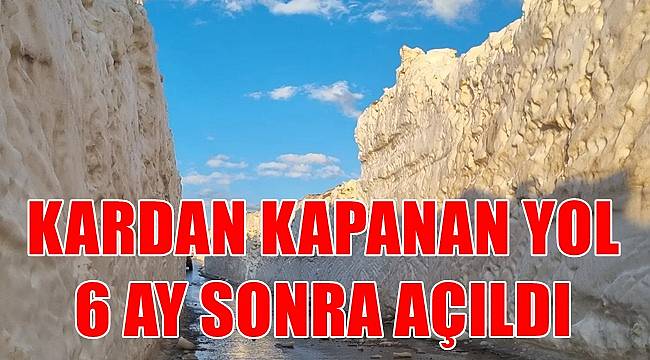 Ordu'da kardan kapalı yayla yolu 6 ay sonra açıldı