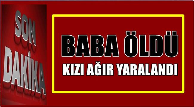 Ordu'da meydana gelen kazada baba öldü kızı ağır yaralandı