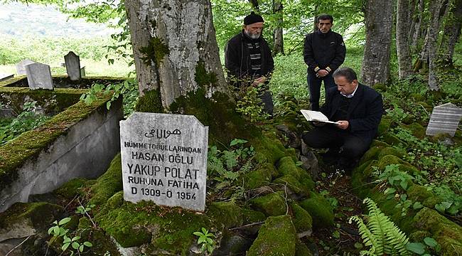 Ordu'da mezarlıktaki meşe ağacı koruma altına alındı