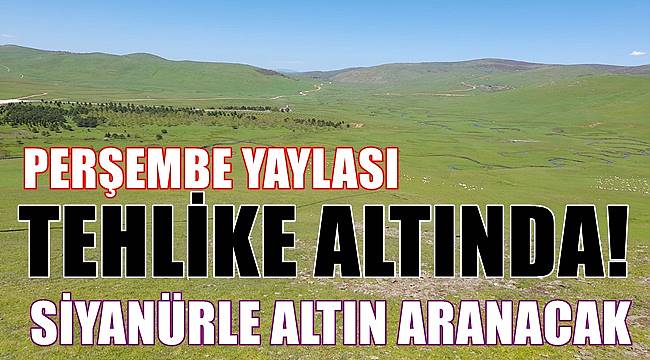 Ordu'da Perşembe Yaylası tehlike altında! Yaylada siyanürle altın aranacak