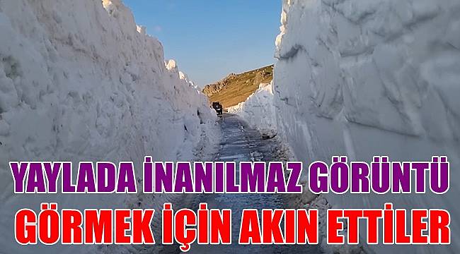 Ordu'da yaylada inanılmaz görüntü! Görebilmek için akın ediyorlar