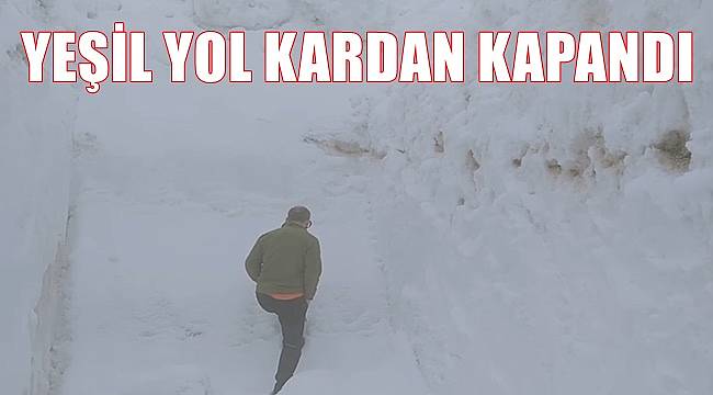 Ordu'da Yeşil Yol kardan ulaşıma kapandı