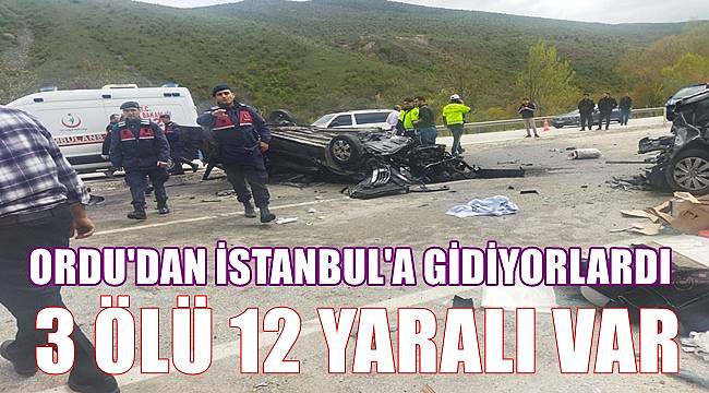Ordu'dan İstanbul'a giden aile kaza geçirdi: 3 ölü 12 yaralı