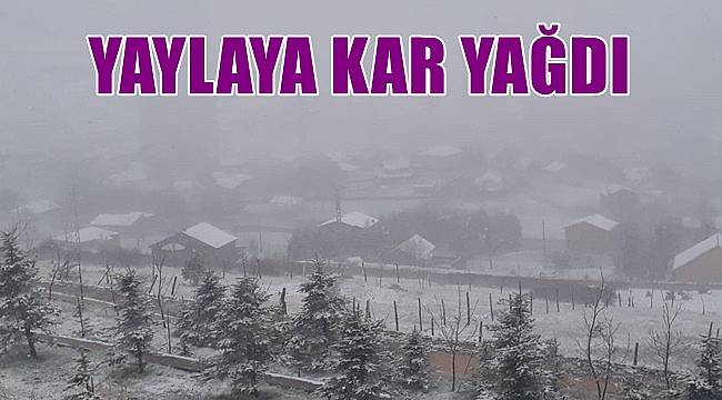 Ordu'da Mayıs ayında kar yağdı