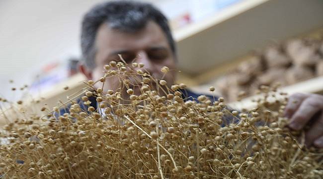 Tescillenen 6 yeni tohum çeşidi Türk tarımına katkı sağlıyor