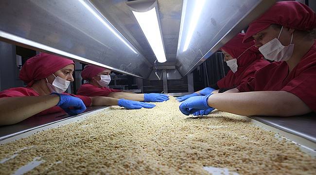 Ticaret Borsalarında 345 bin ton fındık işlem gördü