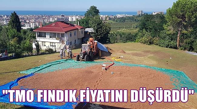 Fındık fiyatı düşüyor!