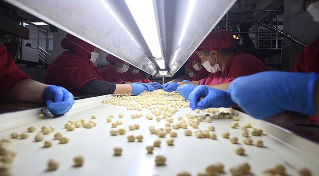 Türkiye 8 ayda en fazla fındığı Almanya'ya sattı