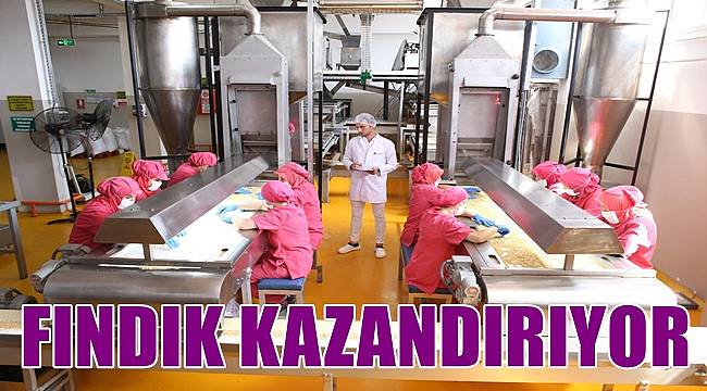 Türkiye fındıktan 1 milyar 600 milyon dolar döviz elde etti