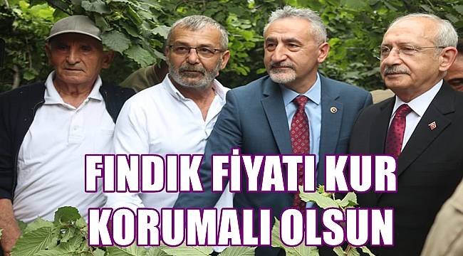 Adıgüzel: Fındık fiyatı kur korumalı olsun