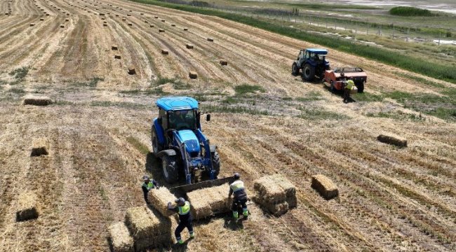 Ankaralı yerli üretici zengin olacak