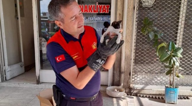 Aydın'dan can dostlar için hayat kurtaran uyarı