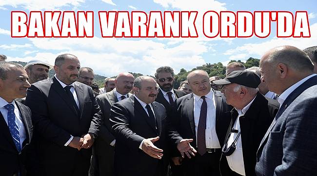 Bakan Varank Ordu'da