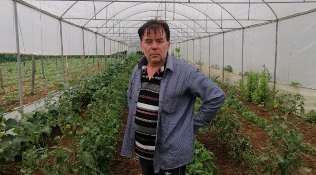 Bilecik Pazaryeri'nde 7 yıldır ürettiği tohumlarla sebze yetiştiriyor