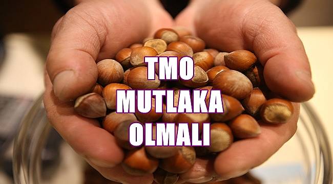 Bölük: TMO mutlaka fındık piyasasında olmalıdır