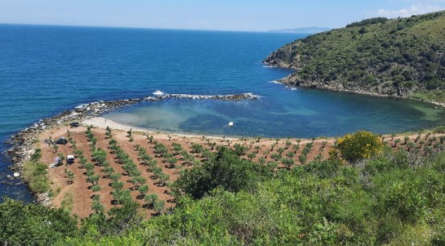 Bursa Mudanya'da 'Rota Myrleia' için ilk keşif yapıldı
