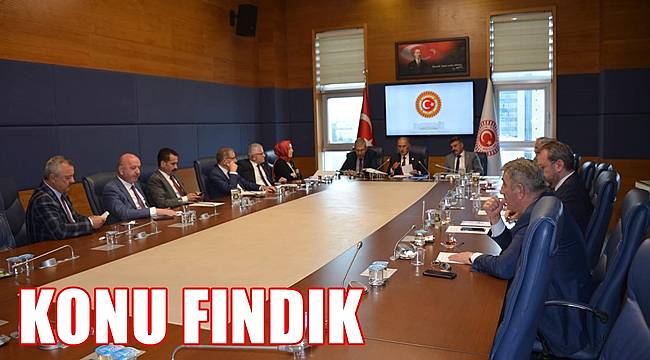 Cumhur İttifakının Bölge Milletvekilleri Fındık İçin Toplandı