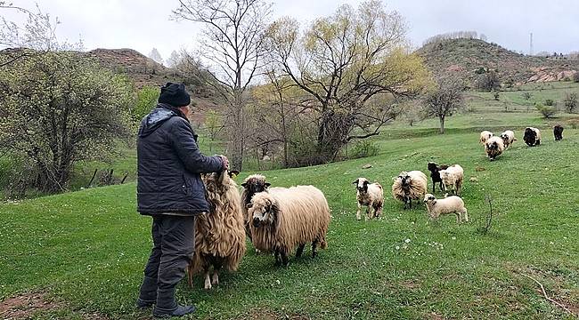 Diyanet vekalet yoluyla kurban kesim ücretini belirledi