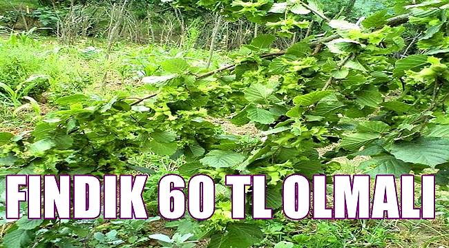 Doğan: Fındık 60 TL olmalı