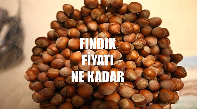 Fındık fiyatı 12 Haziran Pazar günü