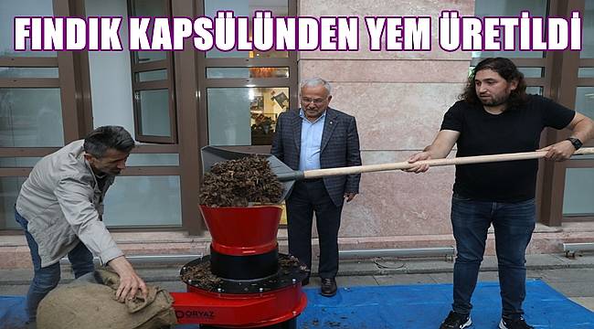 Fındık Kapsülünden Yem Üretildi