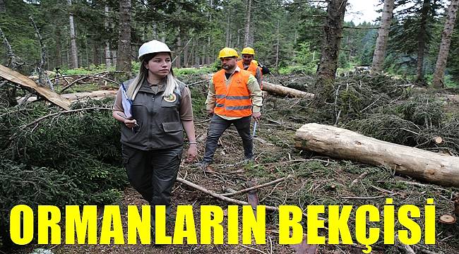 Giresun'da ormanlar Nihal Keskin'e emanet