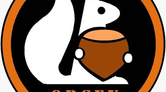 Ordu Çevre Derneği 699 maden sahasının iptali için dava açtı