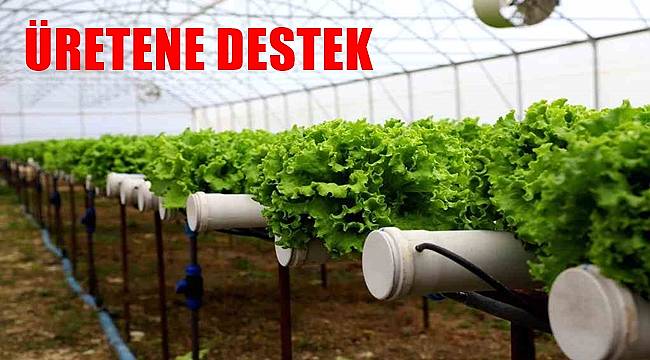 Ordu'da 18 bin dönüm arazi tarıma kazandırıldı