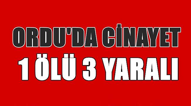 Ordu'da arazi anlaşmazlığı 1 ölü 3 yaralı