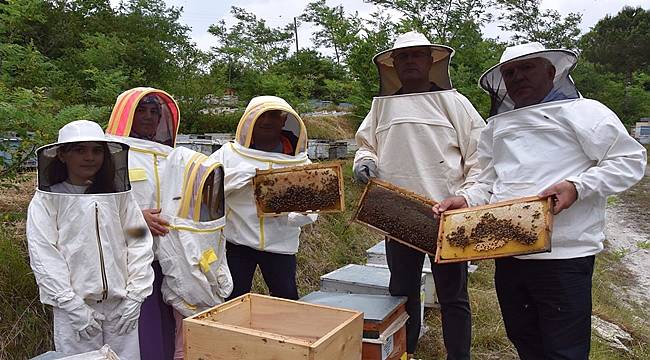 Ordu'da arıcılara polen toplama tuzağı dağıtıldı