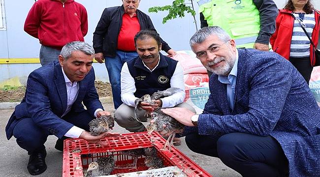 Ordu'da Büyükşehir çiftçilere hindi palazı dağıttı