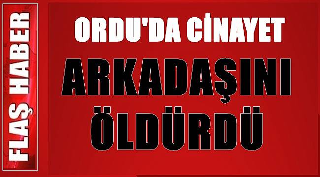 Ordu'da emekli astsubay öldürüldü