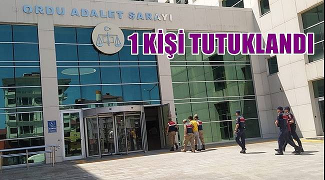 Ordu'da evlerden hırsızlık yapan 1 kişi tutuklandı