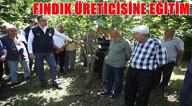 Ordu'da fındık üreticisi için Bahçe Okulu kuruldu