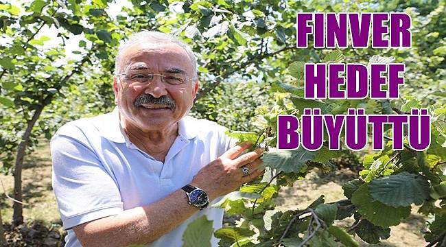 Ordu'da FINVER Projesinde hedef bin dönüm fındık bahçesi