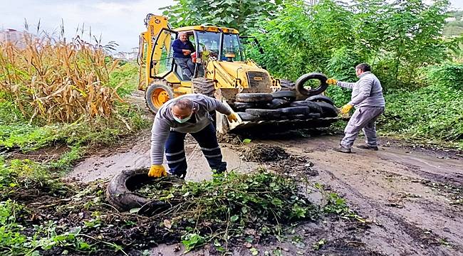 Ordu'da haşere ve sivrisinekle mücadele başladı