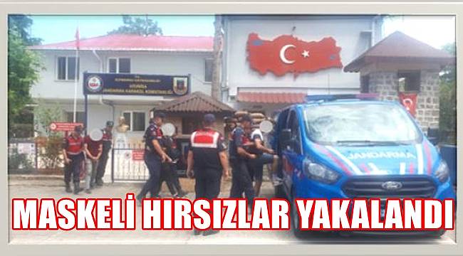 Ordu'da maskeli hırsızlar yakalandı