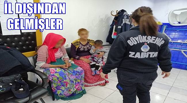 Ordu'da zabıta 26 dilenci yakaladı