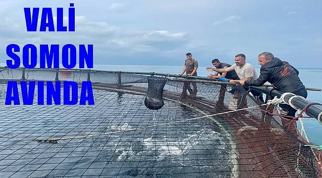 Ordu'dan Rusya ve Japonya'ya Türk Somonu ihraç ediliyor