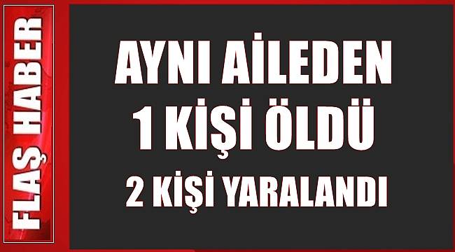 Ordulu aile trafik kazası geçirdi: 1 ölü 2 yaralı