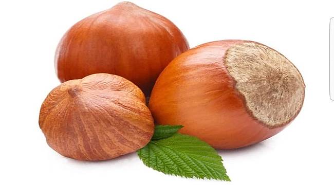 Ticaret Borsalarında 352 bin ton fındık işlem gördü