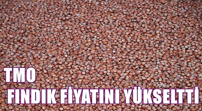 TMO fındık fiyatını 44 TL olarak açıkladı